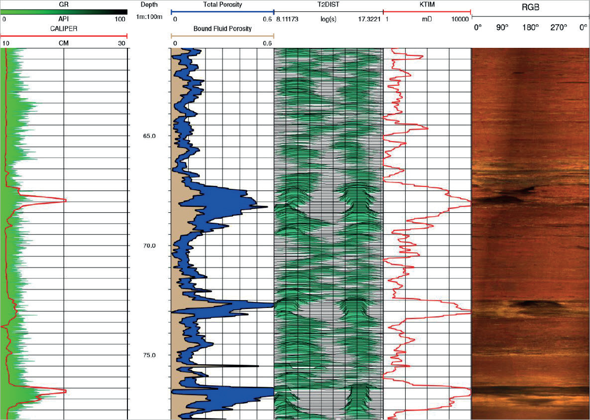 WellCAD Nuclear Magnetic Resonance (NMR) Data Processing Module