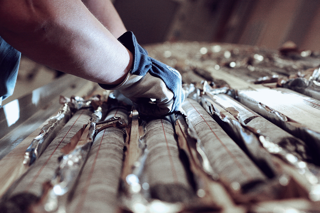 WellCAD CoreCAD Digital Core Description Module